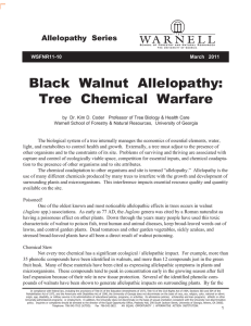 Black  Walnut  Allelopathy: Tree  Chemical  Warfare