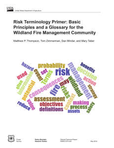 Risk Terminology Primer: Basic Principles and a Glossary for the