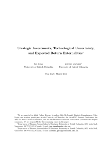 Strategic Investments, Technological Uncertainty, and Expected Return Externalities