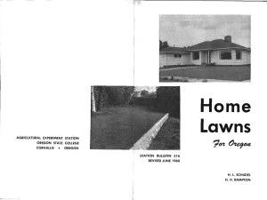 Home Lawns STATION BULLETIN 516