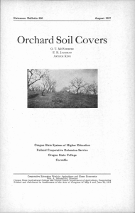 Orchard Soil Covers