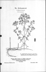 St. Johnswort Oregon State System of Higher Education Federal Cooperative Extension Service