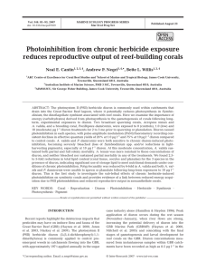 Photoinhibition from chronic herbicide exposure reduces reproductive output of reef-building corals