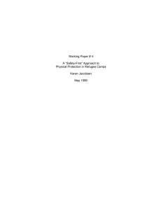 Working Paper # 4 A “Safety-First” Approach to Karen Jacobsen