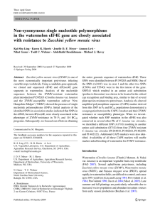 Non-synonymous single nucleotide polymorphisms with resistance to Zucchini yellow mosaic virus