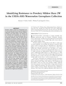 Identifying Resistance to Powdery Mildew Race 2W