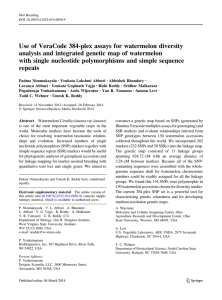 Use of VeraCode 384-plex assays for watermelon diversity