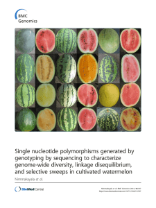 Single nucleotide polymorphisms generated by genotyping by sequencing to characterize