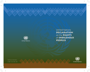 United Nations rights inDigenous Declaration