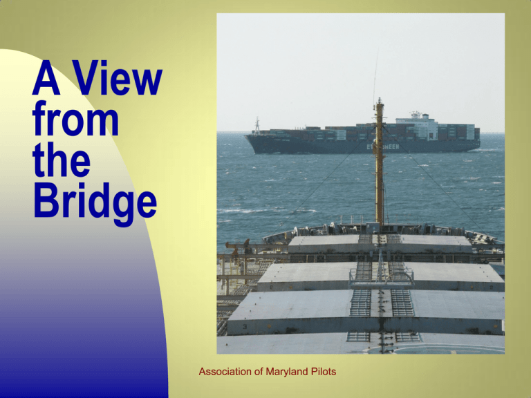 a view from the bridge essay questions