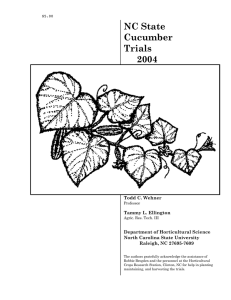 NC State Cucumber Trials 2004