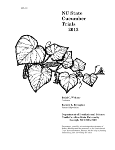 NC State Cucumber Trials 2012