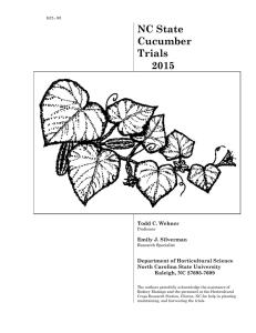 NC State Cucumber Trials 2015