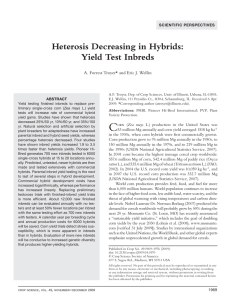 Heterosis Decreasing in Hybrids: Yield Test Inbreds
