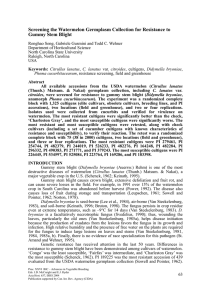 Screening the Watermelon Germplasm Collection for Resistance to Gummy Stem Blight