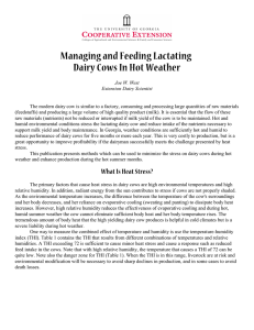 Managing and Feeding Lactating Dairy Cows In Hot Weather