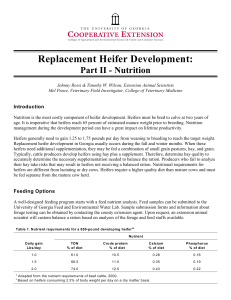Replacement Heifer Development: Part II - Nutrition