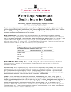 Water Requirements and Quality Issues for Cattle