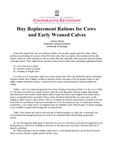 Hay Replacement Rations for Cows and Early Weaned Calves