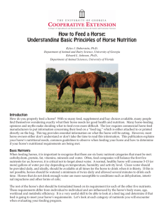 How to Feed a Horse: Understanding Basic Principles of Horse Nutrition