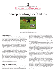 Creep Feeding Beef Calves Introduction Lawton Stewart Extension Animal Scientist - Beef Cattle