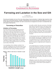 Farrowing and Lactation in the Sow and Gilt