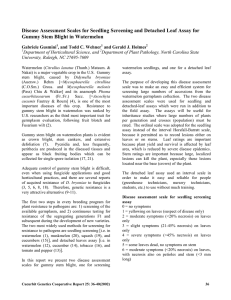 Disease Assessment Scales for Seedling Screening and Detached Leaf Assay... Gummy Stem Blight in Watermelon