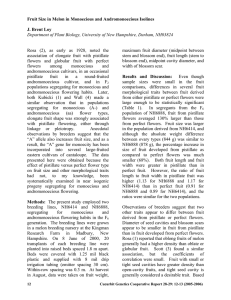 Fruit Size in Melon in Monoecious and Andromonoecious Isolines