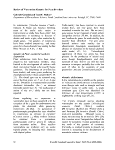 Review of Watermelon Genetics for Plant Breeders