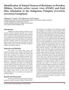 Identification of Natural Sources of Resistance to Powdery Mildew,