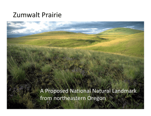 Zumwalt Prairie A Proposed National Natural Landmark  from northeastern Oregon