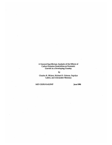 A Carbon Emission Restrictions on Economic Growth  in a Developing Country by