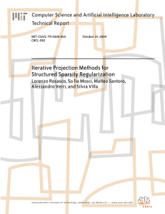 Iterative Projection Methods for Structured Sparsity Regularization Technical Report