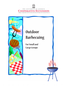 Outdoor Barbecuing For Small and Large Groups