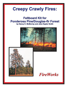 Creepy Crawly Fires: FireWorks Feltboard Kit for Ponderosa Pine/Douglas-fir Forest