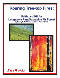 Roaring Tree-top Fires: FireWorks Feltboard Kit for Lodgepole Pine/Subalpine Fir Forest