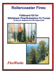 Rollercoaster Fires: FireWorks Feltboard Kit for Whitebark Pine/Subalpine Fir Forest