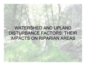 WATERSHED AND UPLAND DISTURBANCE FACTORS: THEIR IMPACTS ON RIPARIAN AREAS