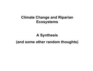 Climate Change and Riparian Ecosystems A Synthesis (and some other random thoughts)