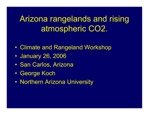 Arizona rangelands and rising atmospheric CO2.