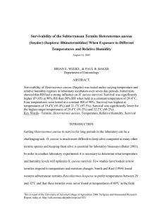 Survivability of the Subterranean Termite Heterotermes aureus