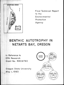 BENTHIC AUTOTROPHY IN NETARTS BAY, OREGON Grant No. R806780 Final Technical