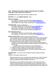 Whitebark Pine Stand Conditions after Mountain Pine Beetle