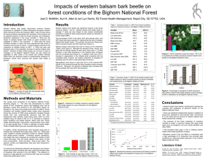 Figure 5 to subalpine fir mortality caused by western balsam bark