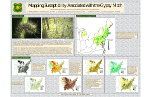 Mapping Susceptibility Associated with the Gypsy Moth