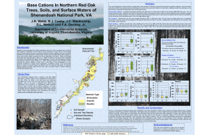 Base Cations In Northern Red Oak Analyses