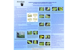 SCREENING NATIVE PLANTS OF NORTHEASTERN UNITED STATES AND