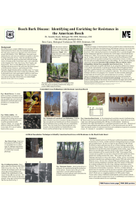 Beech Bark Disease:  Identifying and Enriching for Resistance in