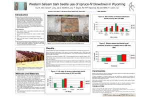 Western balsam bark beetle use of spruce-fir blowdown in Wyoming