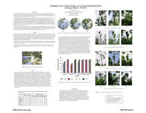 Evaluating Crown Canopy Changes  In Vermont Ice-Damaged Forests